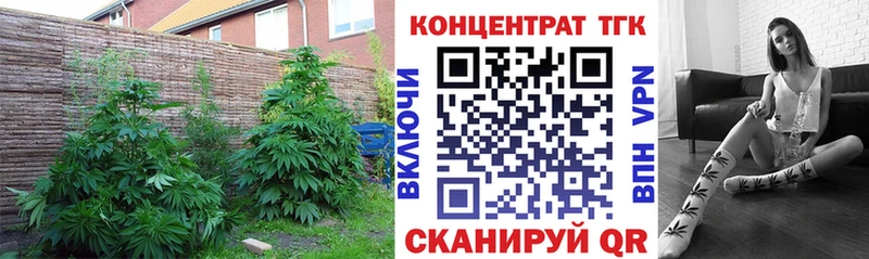 ТГК вейп с тгк  Шадринск 